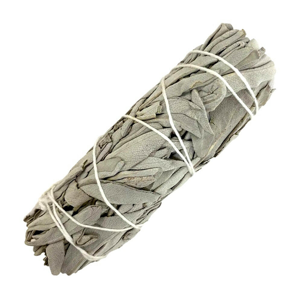 White Sage Smudge - Bundle 6".