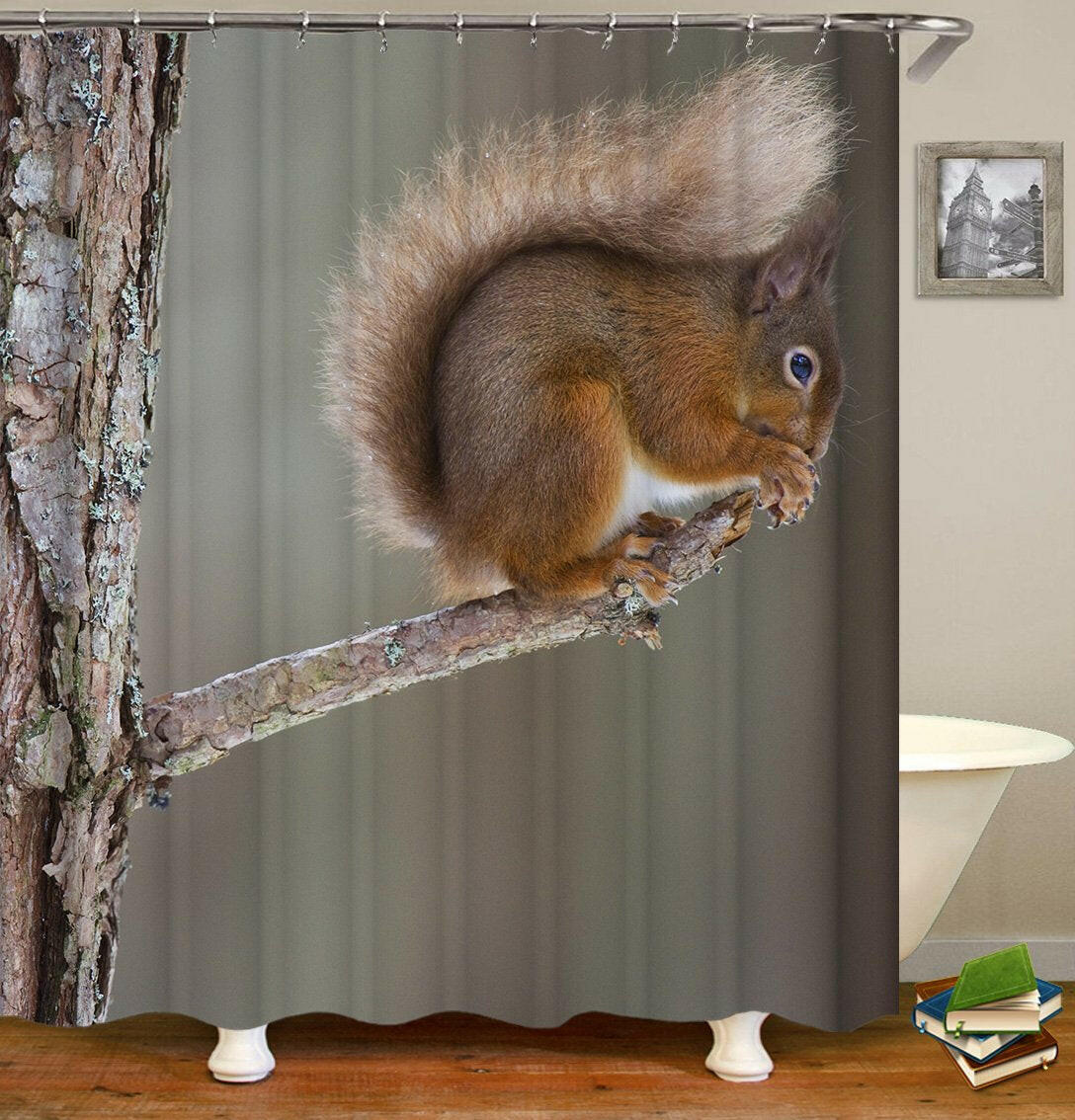 Cute Little Squirrel Shower Curtain.