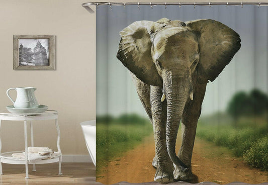 Elephant On The Road Shower Curtain.