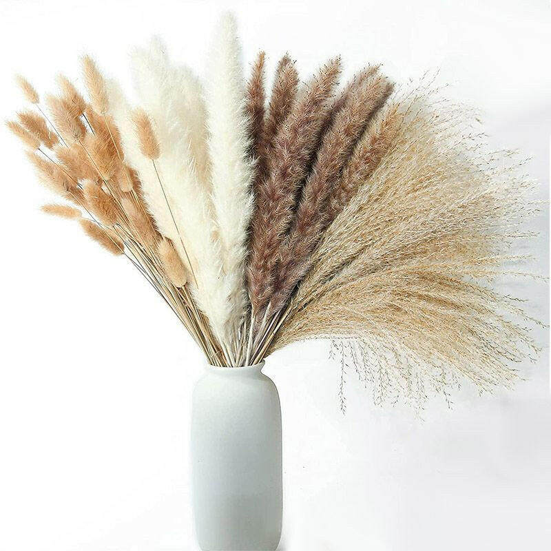 60/62/76/80/85/100pcs Boho Pampas Grass Bouquet Home Decor Floral Dried Flowers Wedding Arrangements Natural Reed Bunny Tails.