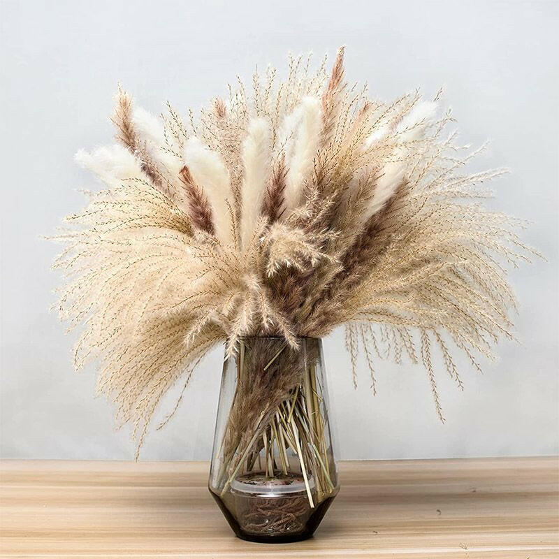 Phragmites Dried Flowers Bouquet Long Bouquet Reed Dried Natural Dried Pampa Grass Bouquet Home Wedding Living Room Decoration.