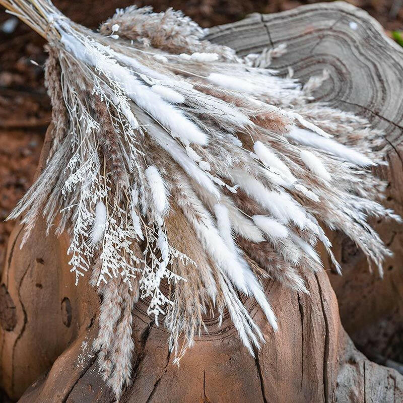 60/62/76/80/85/100pcs Boho Pampas Grass Bouquet Home Decor Floral Dried Flowers Wedding Arrangements Natural Reed Bunny Tails.